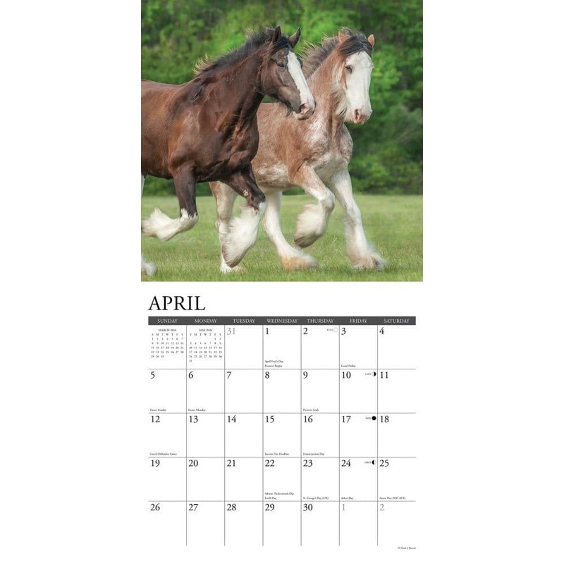 Clydesdales 2026 12" x 12" Wall Calendar