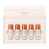Laneige 리엔케이 셀 브라이트닝 익스트림 파우더 앰플 4g x 5 Laneige Cell Brightening Extreme Powder Ampoule 4g x 5 [Single item Single item]