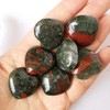 Bacatgem 3 Pcs Natural African Bloodstone Pocket Palm Thumb Healing