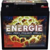 Reikken PR1000 Energie 1000 Watt 12 Volt Power Cell