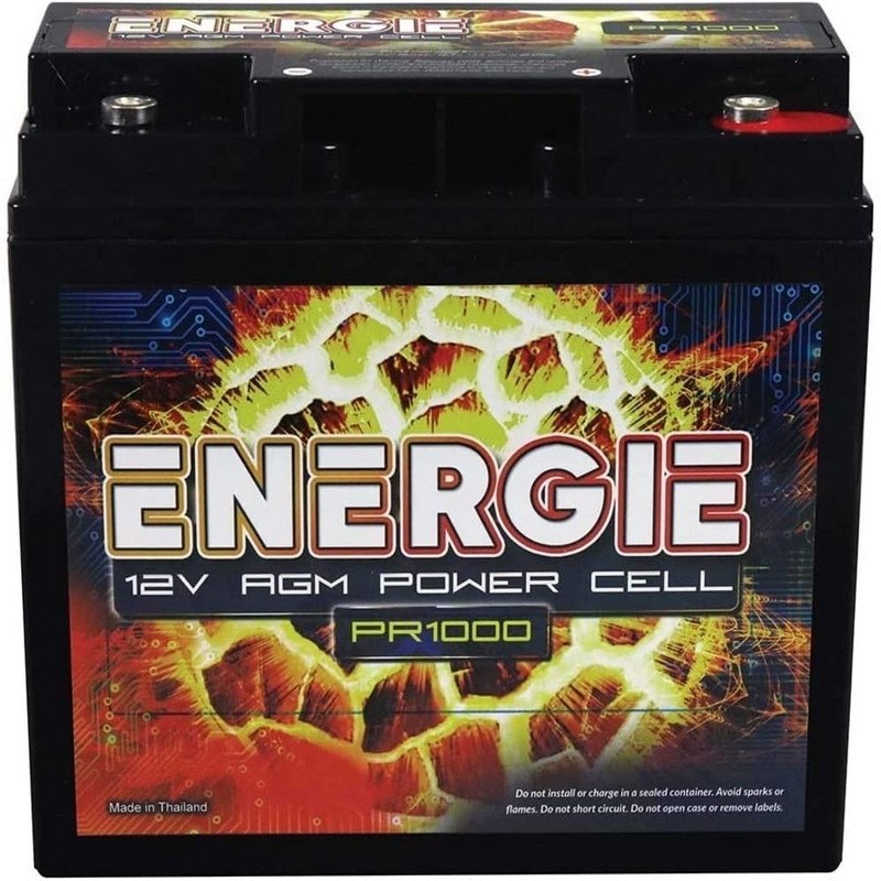 Reikken PR1000 Energie 1000 Watt 12 Volt Power Cell