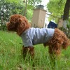 Lovelonglong Pet Clothing Dog Costumes Basic Blank T-Shirt Tee Shirts