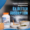 Dr. Best 닥터스 베스트 고흡수 마그네슘 200mg 120타블렛 X 2통세트