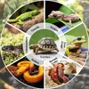 Apatal Reptile Bathing Pool 7 Pcs Tortoise Water Dish with