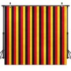 Cartoon Mouse Birthday Backdrop, Striped Photography Background, 6x6ft