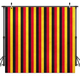 Cartoon Mouse Birthday Backdrop, Striped Photography Background, 6x6ft