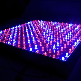 HQRP 14W 225 LED Blue + Red Spectrum Hydroponic Plant Grow Light Panel/Lamp