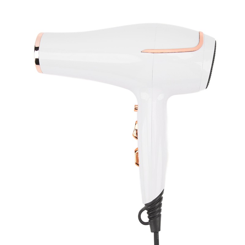 Electric Hair Dryer Adjust Temperature Wind Speed Blow Dryer Hair