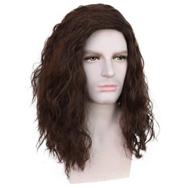 HUNIGIR Mens Brown Wig Shoulder Length Brown Curly Male Wig Heat Resistant Synthetic Cosplay Costume Hair Replacement