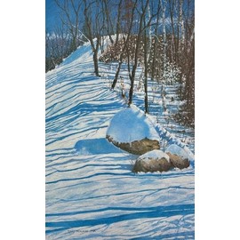 Terry Mihlrad Winter Shadows FRAMED SIGNED & # ART American Landscape NEW