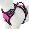 PHOEPET No Pull Dog Harnesses for Small Puppies Reflective Adjustable