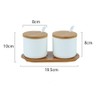 OnePine Set of 2 Ceramic Spice Jars Salt Pot Ceramic