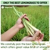 135 Lemongrass Tea Bags, 100% Natural & Pure Lemongrass leaves,