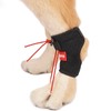 BUVUB Dog Canine Knuckling Brace Front Paw Rear Leg Dog