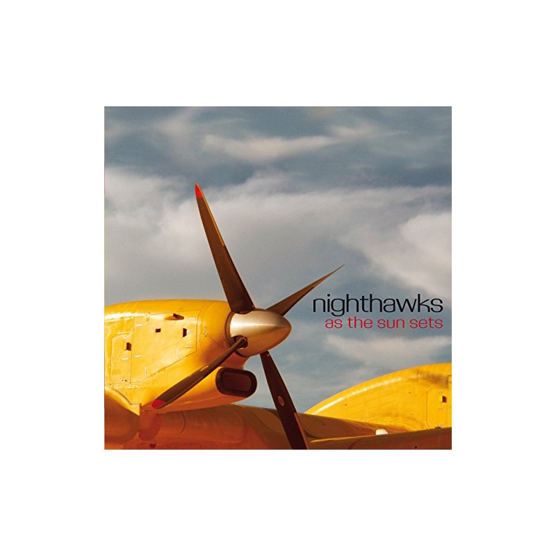 As The Sun Sets [VINYL]