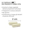ERBA VITA Integratore Alimentare di Centella - 60 Capsule -