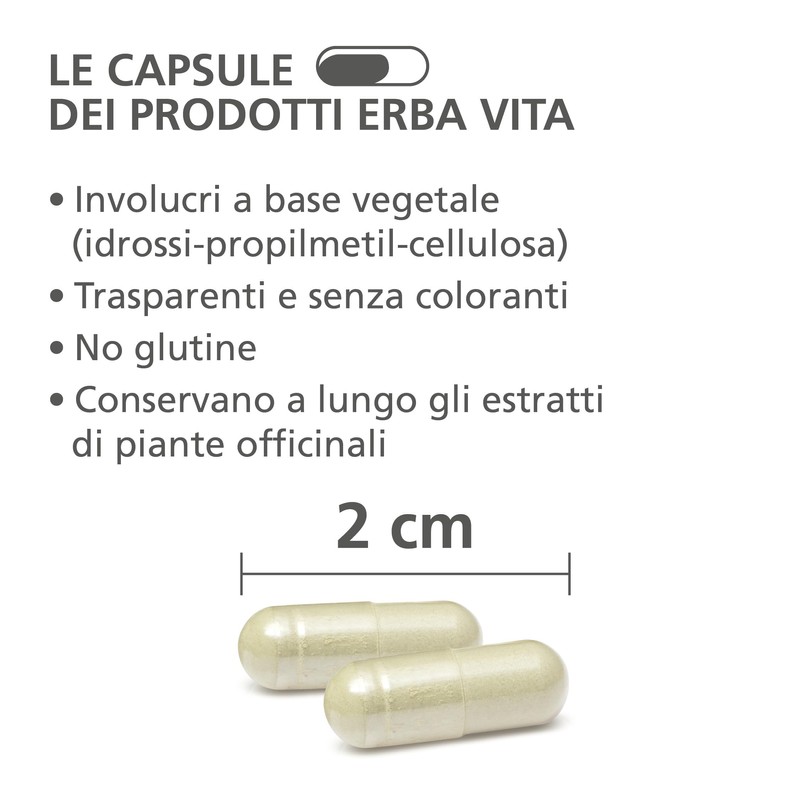ERBA VITA Integratore Alimentare di Centella - 60 Capsule -