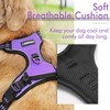 rabbitgoo Dog Harness, No-Pull Pet Harness with 2 Leash Clips,