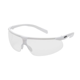 Delta Plus Helium 20 Clear Anti-Fog Lens Safety Glass, Clear (WELSG62CAF)
