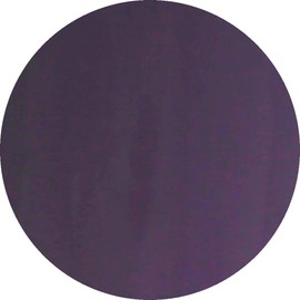 VETRO VL441 No.19 Color Gel Matte, 0.1 fl oz (4 ml) Capricorn, UV/LED Compatible, Gel Nail