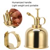 Professional Stainless Steel Watering Can with Top Pump for Succulent