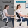 Memory Foam Lumbar Support Pillow for Office Chair and Car
