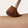 Jane Iredale Powder Complexion Brush