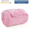 Topcee Weighted Blanket for Adults, Minky Dots Heavy Blanket for