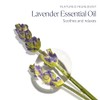 L'Occitane Crema de manos Nutritiva de Lavanda 75gr