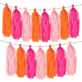 Lotnery 15 Pack Vibrant Paper Tassel Garland Banner | Rose Red, Blush Pink & Tangerine Fringe Party Decorations for Weddings, Baby Showers & Festive DIY Backdrops