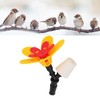 DIY Hummingbird Feeder, Hanging Hummingbird Feeder Hummingbird Feeder Kit for