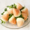 Outsidepride Strawberry Vesca White - 10000 Seeds