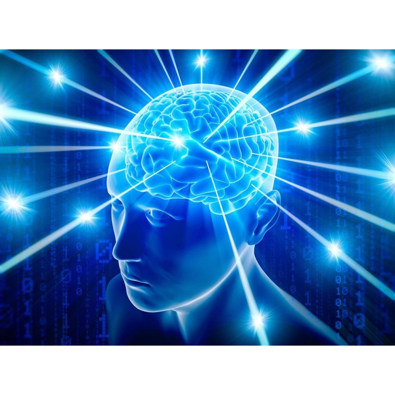 easy digestion - BEET ROOT - antioxidant complex 3 BOTTLE