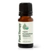 Plant Therapy Aceite Esencial De Eucalipto Orgánico 10ml
