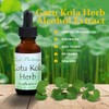 Best Botanicals Gotu Kola Herb Extract 1 oz.