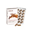 HAWLIK Cordyceps Extract + Powder Capsules (60 Capsules)