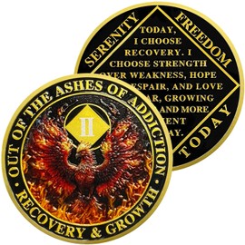Phoenix Recovery Sobriety Coin Year Two Gifts for Sober Men & Women in Recovery Out of the Ashes of Addiction Celebrating Strength, Growth, and Freedom