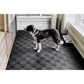 G-Floor for Pets Levant Texture Protective Vinyl Floor Covering for Hardwood, Concrete, and Low-Pile Carpet - 5ft x 10ft Slate Grey