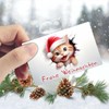 TRIOSK Christmas Magnets 3D Illusion Fridge Magnet Cat with Saying