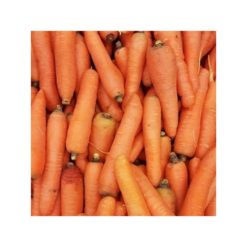 Joke Domestic fresh carrots with special filling, extra large 3kg