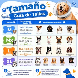 LISAPRO 2 en 1 Collar de Recuperación para Perros, Collar Isabelino para Perro, con Funda Protectora Extraíble, Collar Inflable de Recuperación, Evita Mordidas y Rasguños, para Gatos y Perros(Gris,XL)