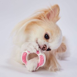 Petio Dog Toy, Chewing Ring Dental, Hard, Ripe Strawberry Flavor