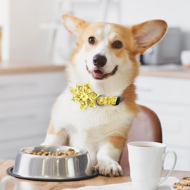 BiPawTi Daisy Dog Collars for Large Dogs Female, Yellow Floral Dog Collar with Bloom Decoration, Soft Cute Flower Collar Summer Dog Collars for Girl Female Dogs (Yellow, L)