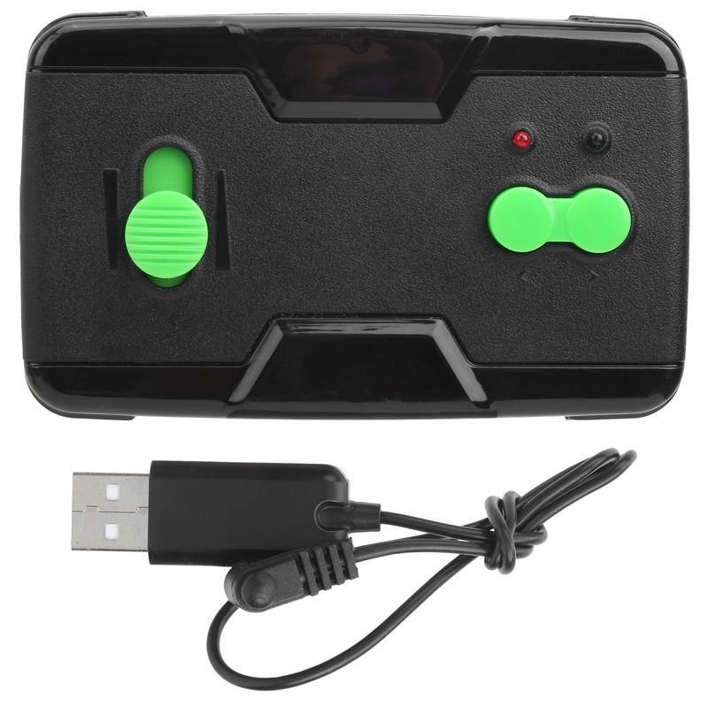 RC Flying Bird Toy Highly Simulation 2.4GHz Remote Control EBird