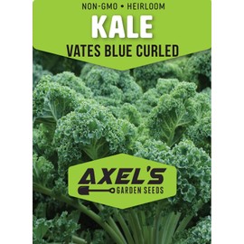 Curled Blue Kale Seeds for Planting – Plant & Grow Heirloom Non-GMO Curled Blue Vates Kale Home Outdoor Vegetable Garden, Brassica oleracea VAR. acephalla – 2 Packets