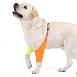 Joint Protector for Front Legs, Elbow Pads with Pad for Medium Large Dogs, Prevent Licking Wounds, XL (Orange Yellow)