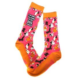 Womens Im Only Talking To My Dog Today Socks Funny Pet Mom Novelty Footwear