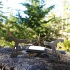 Kuvik Micro Titanium Solid Fuel Stove - Ultralight and Compact