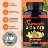 Balincer Turmeric Ginger Supplement Boost Energy Digestion Support Detox Joint