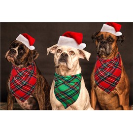 Malier 2 Pack Dog Bandana Christmas Classic Plaid Pets Scarf Triangle Bibs Kerchief Set Pet Costume Accessories Decoration for Small Medium Large Dogs Cats Pets (Green + Red, Large)